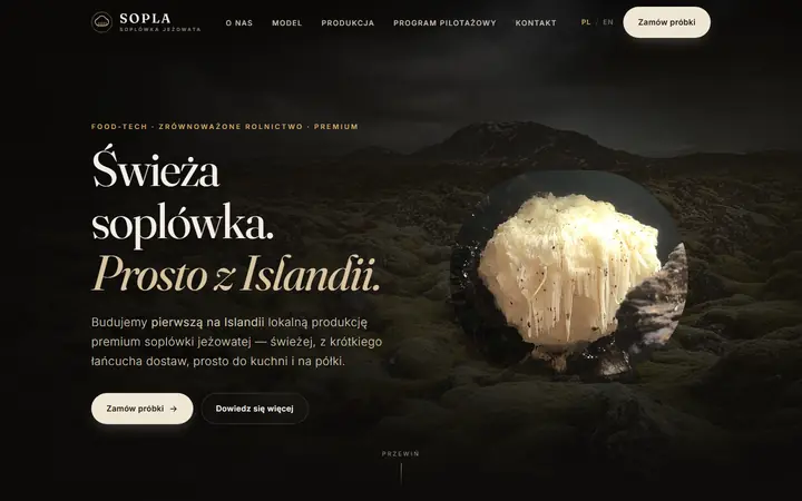 Zrzut strony: producent żywności premium, Islandia