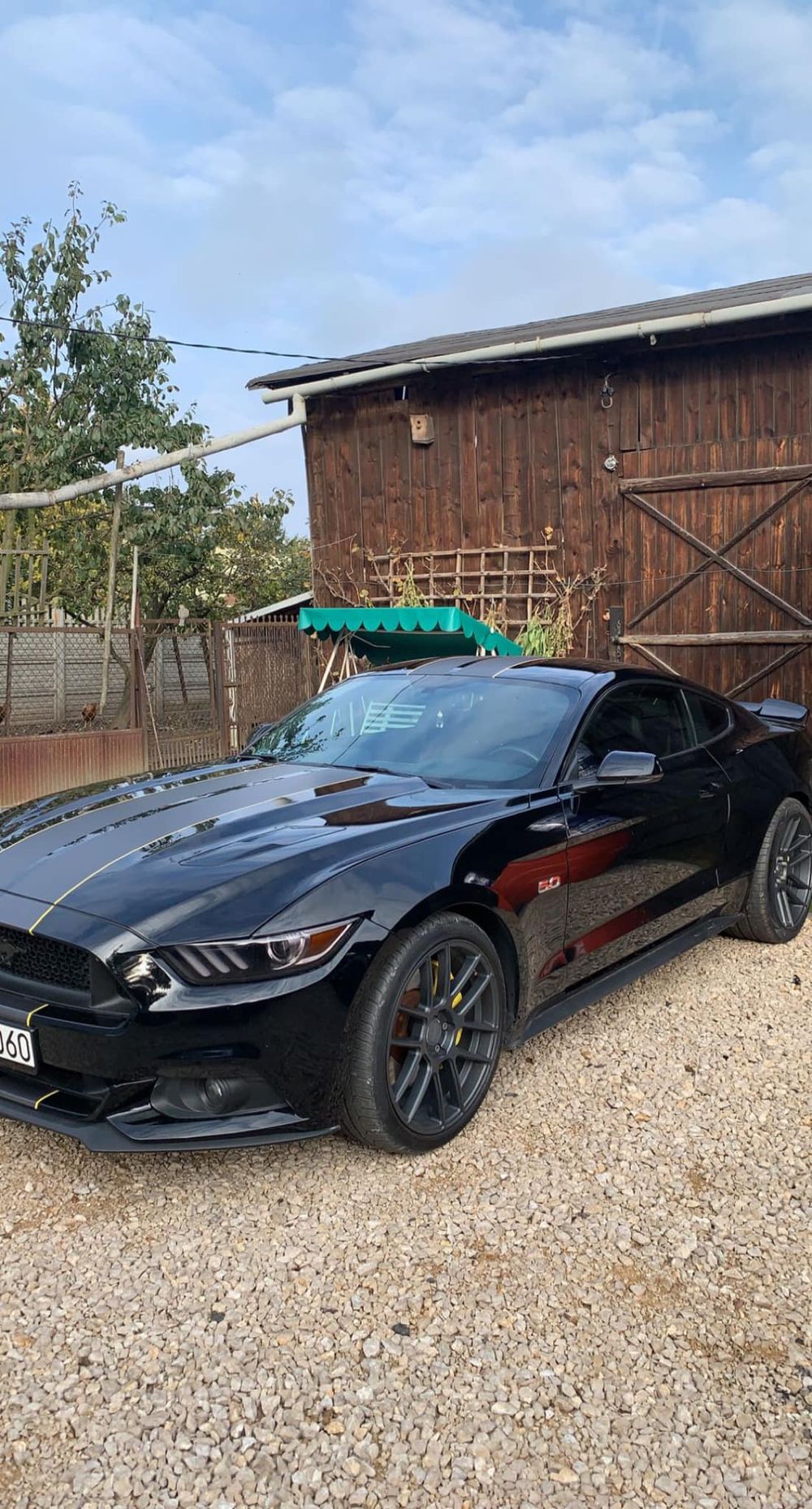 Ford Mustang przed serwisem