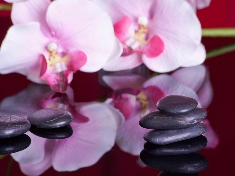 Orchidea i kamienie bazaltowe